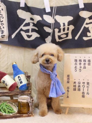 20240612ココアくん